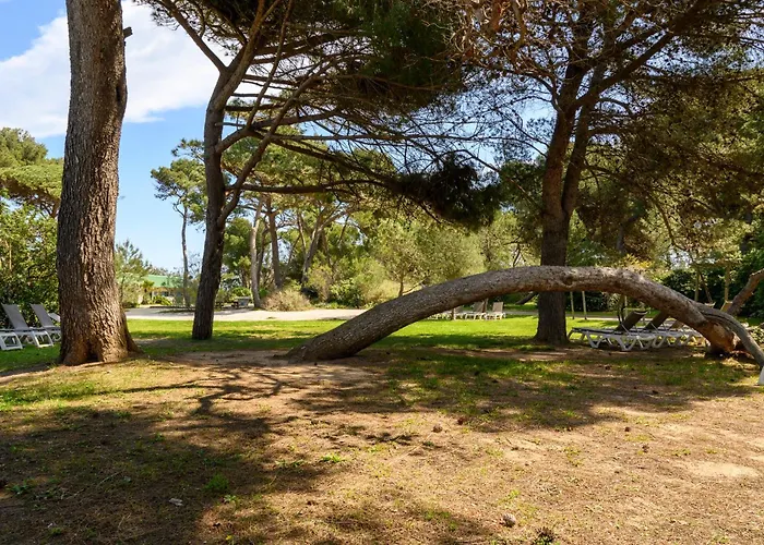 Le De Giens Apartman *